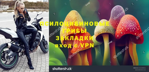 соль курить ск Няндома