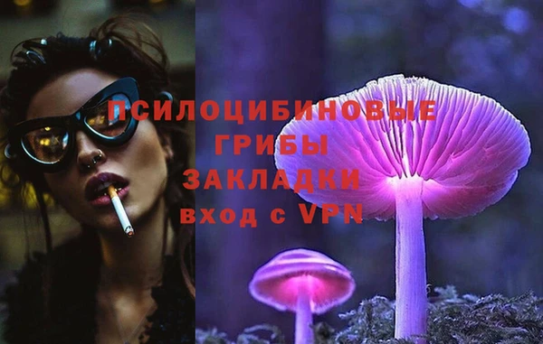 соль курить ск Няндома